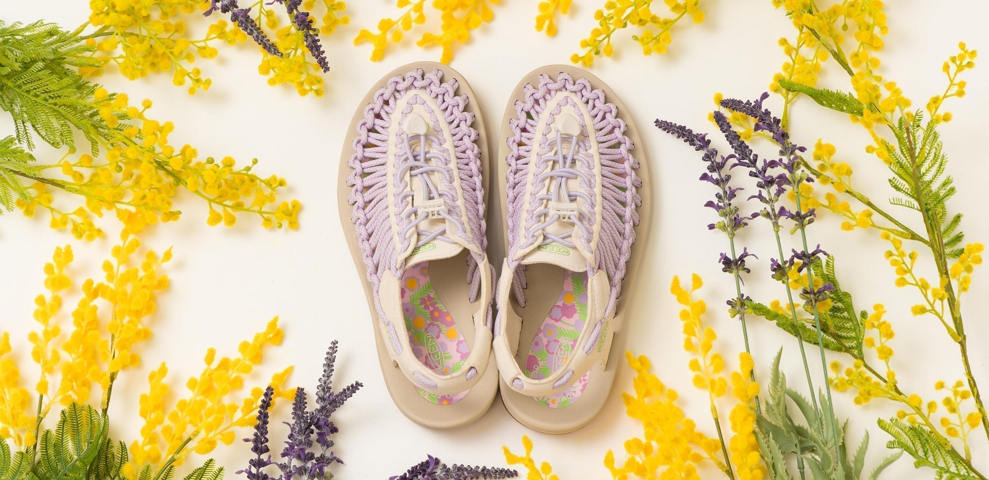 「KEEN UNEEK MIMOSA 3のライラックカラーのシューズ。国際女性デーを祝うミモザの花とラベンダーに囲まれたデザイン。